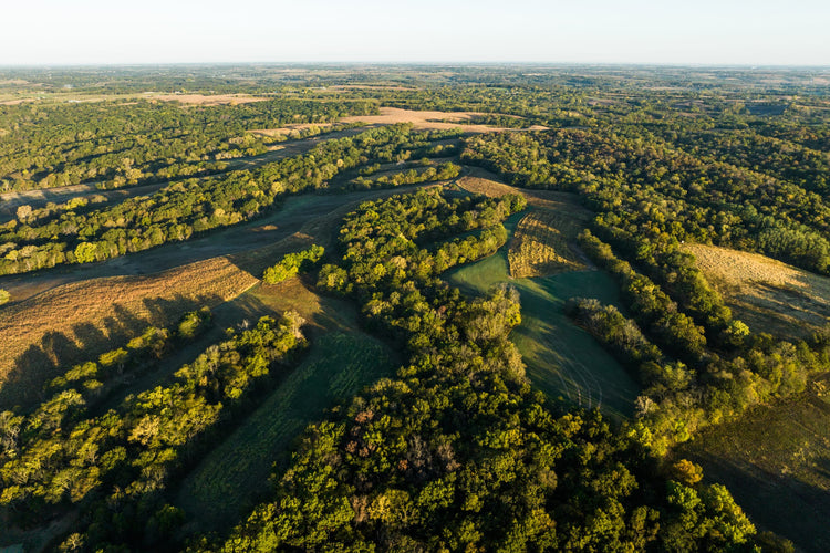 USDA PROGRAMS FOR THE WHITETAIL MANAGER