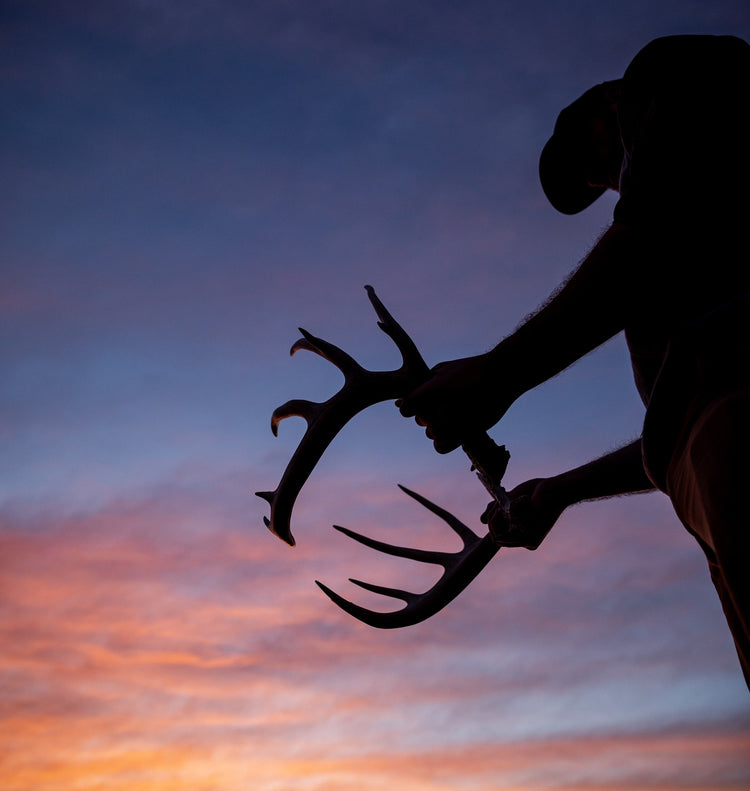 3 OVERLOOKED PLACES TO FIND SHEDS