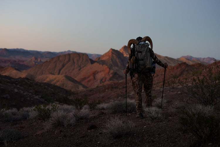 6 HABITS OF CONSISTENTLY SUCCESSFUL WESTERN BOWHUNTERS