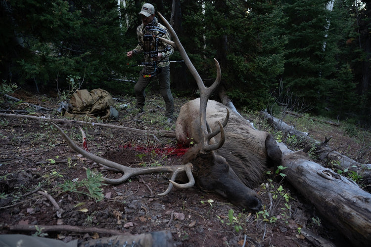 ELK EXECUTION