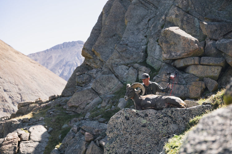 Escape | A Bighorn Sheep Hunt