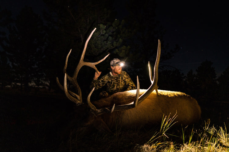 ANYONE'S HUNT – MONTANA ELK