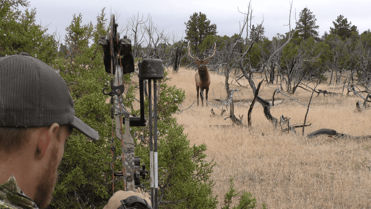 MODERN ELK TACTICS IN OTC AREAS